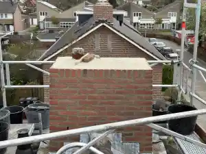 schoorsteenveger_heerewaarden_De_Hertog_Schoorsteentechniek_B.V._2.jpg
