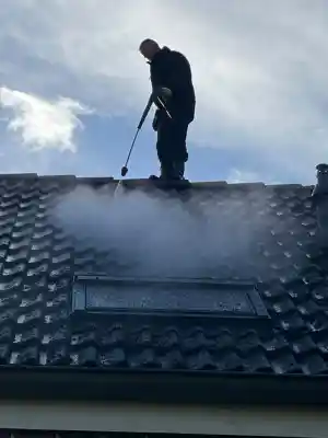 schoorsteenveger_heerewaarden_De_Hertog_Schoorsteentechniek_B.V._4.jpg