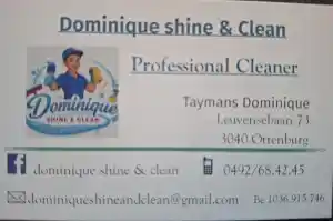 schoonmaakbedrijf_huldenberg-ottenburg_dominiqueshine&clean_3.jpg