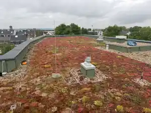 dachdecker_bornheim_RoofMonkeys_Dachdeckermeisterbetrieb_4.jpg
