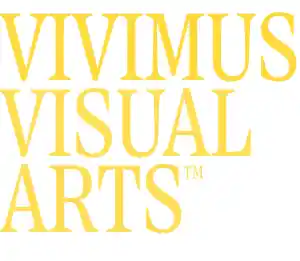 webdesign_tilburg_Vivimus_Visual_Arts_6.jpg