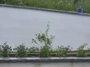 hausmeisterservice_schulenberg-im-oberharz_Transport_&_Rund_ums_Haus_Service_Lehmann__6.jpg