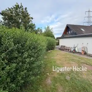 hausmeisterservice_ibbenb%C3%BCren_Sehlke&Grün_4.jpg