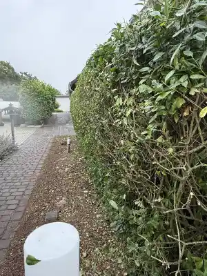 hausmeisterservice_ibbenb%C3%BCren_Sehlke&Grün_6.jpg