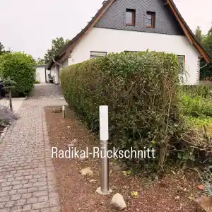 Liguster Hecke schneiden & entsorgen .jpg