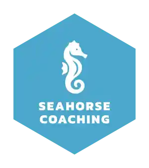 coaching_hengelo_Seahorse_Coaching_5.jpg
