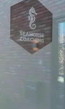 coaching_hengelo_Seahorse_Coaching_2.jpg