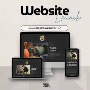 webdesign_ronse_Digiana_5.jpg