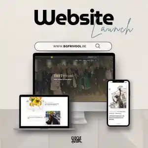 webdesign_ronse_Digiana_6.jpg