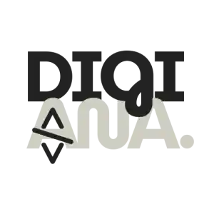 webdesign_ronse_Digiana_2.jpg