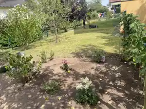 gartner_birkenfeld_AboGrünGartenlandschaftsbau__7.jpg