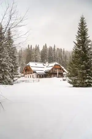 Lerchpeuntgut Almchalets.jpg
