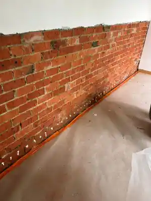 stukadoor_mortsel_DryGuard_4.jpg