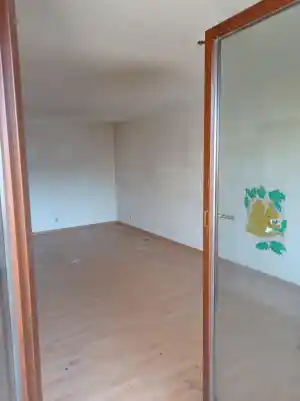 entrumpelung_gummersbach_Rümpeloskar__6.jpg
