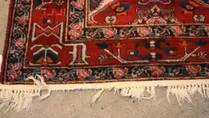 reinigungsfirma_k%C3%B6ln_Orientteppichhaus_Parsi_GmbH_7.jpg