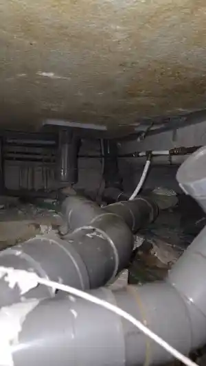 rioolservice_ede_Spee_loodgieter_en_rioolservice__7.jpg