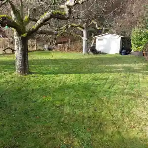 gartner_otzberg_Saba_Garten&Dienstleistungen_7.jpg