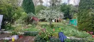 gartner_otzberg_Saba_Garten&Dienstleistungen_4.jpg