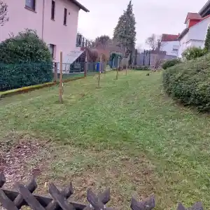gartner_otzberg_Saba_Garten&Dienstleistungen_6.jpg