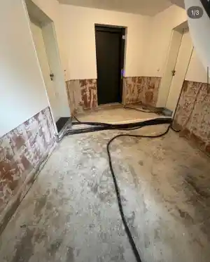 entrumpelung_egelsbach_Alem_Dienstleistungen_6.jpg