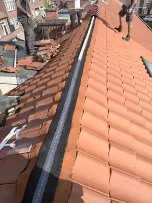 Dakpannen renovatie .jpg