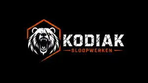 sloopbedrijf_zwolle_Kodiak_Sloopwerken__2.jpg