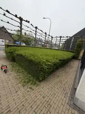 tuinaanleg-en-tuinonderhoud_stekene-kemzeke_Tuinenheyrman_5.jpg