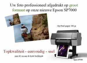 fotograaf_kalmthout_Foto_Joosen_2.jpg