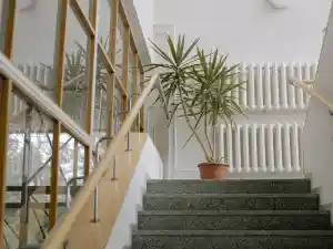 reinigungsfirma_wistedt_Tostedtcleanservice_6.jpg