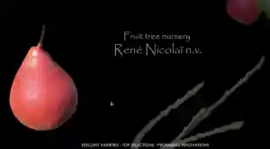 René Nicolai boomkwekerij.jpg