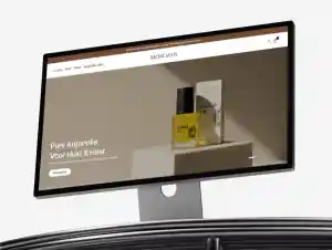 Conversiegerichte webshop voor Moroasis.jpg