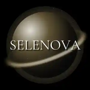 webdesign_wendlingen-am-neckar_Selenova_5.jpg