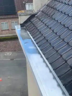 Renovatie dakgoot.jpg