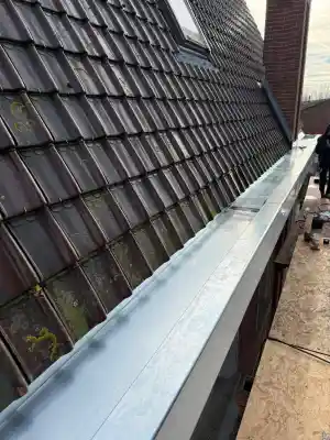 Dakgoot renovatie Zink .jpg