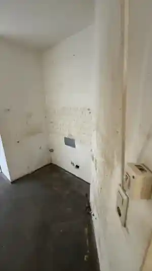 Entrümpelung mit Badezimmer .jpg