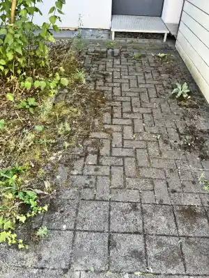 hausmeisterservice_offenburg_Grün_und_Sauber_Service_Frank__6.jpg