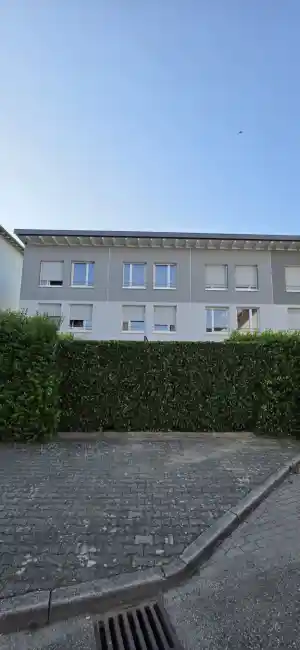 entrumpelung_offenburg_Grün_und_Sauber_Service_Frank__5.jpg