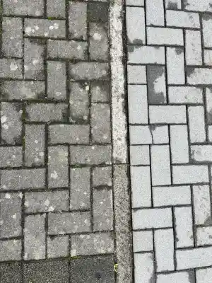 entrumpelung_offenburg_Grün_und_Sauber_Service_Frank__6.jpg