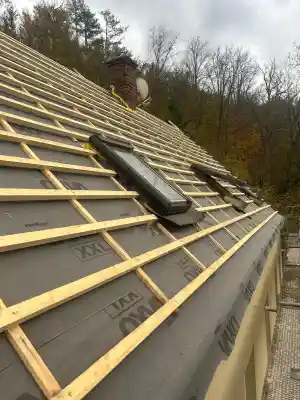 dachdecker_ehra-lessien_Florin__Daniel_Dachdecker__6.jpg