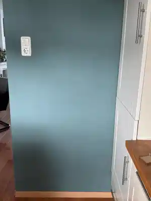 Keukenmuur sauzen.jpg