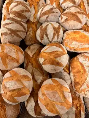 catering_duisburg_Salento_Cucina_Italiana__7.jpg