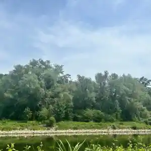 entrumpelung_oppenheim_Die_Rhein-Räumer_5.jpg