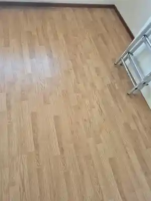 Laminaat en schilder werkzaanheden.jpg