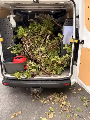 reinigungsfirma_sinsheim_Raumpflege_J.Rappold_5.jpg