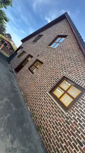 tuinaanleg-en-tuinonderhoud_dilsen-stokkem-stokkem_Ironedgedesign_5.jpg