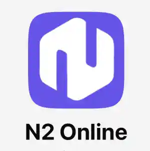 N2 Online.jpg