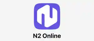 online-marketing_den-bosch_N2_Online_2.jpg