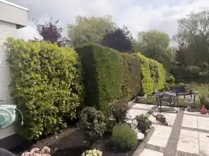 hovenier_obdam_Kip's_tuinonderhoud_2.jpg