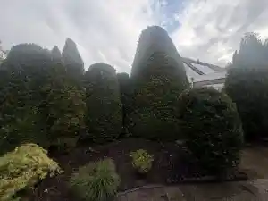 hovenier_obdam_Kip's_tuinonderhoud_5.jpg
