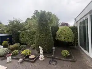 hovenier_obdam_Kip's_tuinonderhoud_4.jpg